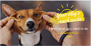 blog your blog reach sucks cover image